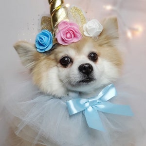 May include: A small, white dog wearing a blue tulle collar with a blue bow and a unicorn headband with pink, blue, and white flowers.