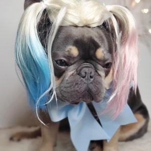 Harley quinn dog wig with Pony tails /Cute pet wig for dog or cat / Halloween pet wig / Costume dog wig /Dog costume / image 10