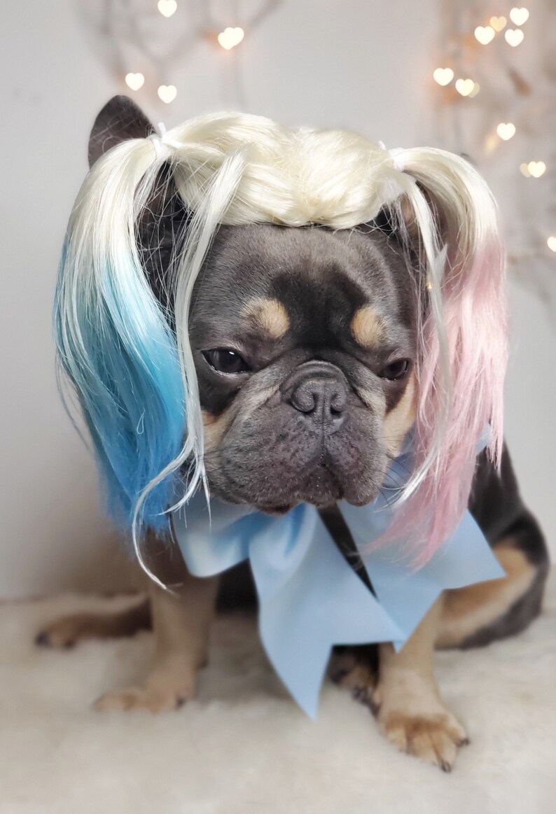 Harley quinn dog wig with Pony tails /Cute pet wig for dog or cat / Halloween pet wig / Costume dog wig /Dog costume / image 10