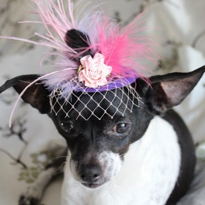 Cute purple color mini hat with feather and flowers for dog or cat /Costume for dog /small dog hat / image 3