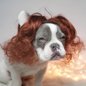 Cute pet   wig  /wig for dog or cat / Halloween dog wig  / Frenchie costume wig / Dog costume /