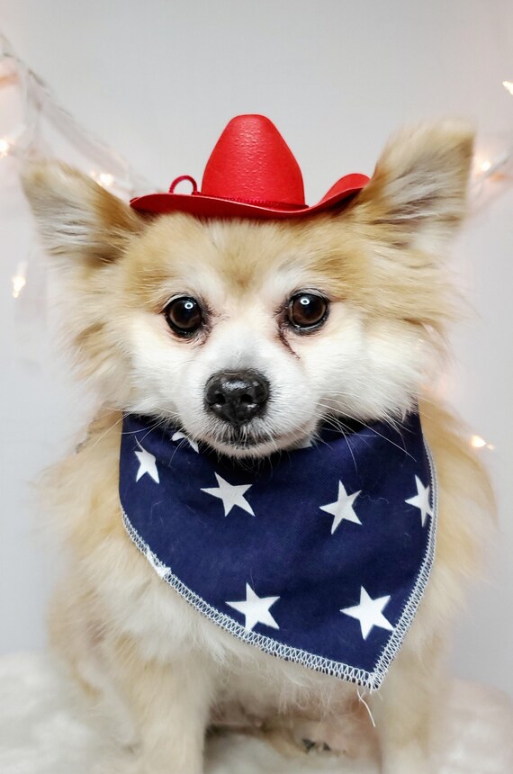 Cowboy-Kostüm Für Hunde & Katzen – Mit Mini-Hut Und Bandana, Größe S, Für Halloween & Mottopartys