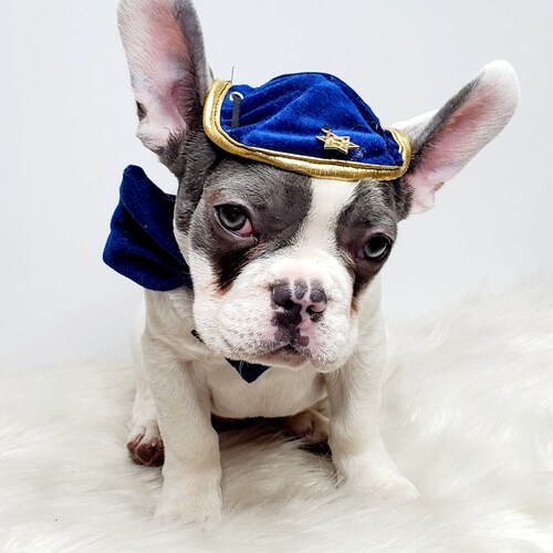 Set Listing DOG KIPPAH Hanukkah Hat and 