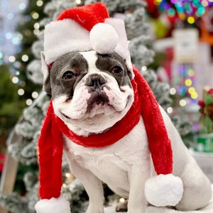 Christmas  Santa  hat   with neck  scarf  for  large size dog the listing is for the set