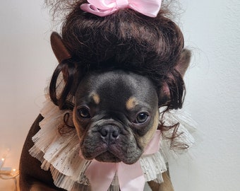 Pet  Marie Antoinette   wig brown  color  for dog or cat/ Halloween dog wig / Costume dog wig  /