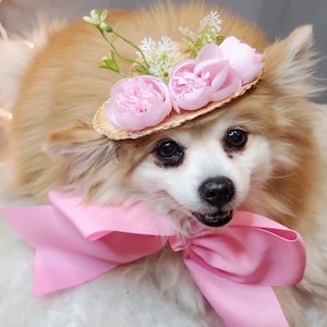 Straw hat with flowers  for dog or cat/ Hat for small pet /Dog hat/Dog costume/