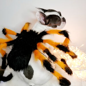 Spider costume for pets / Halloween costume/Dog costume/ image 5