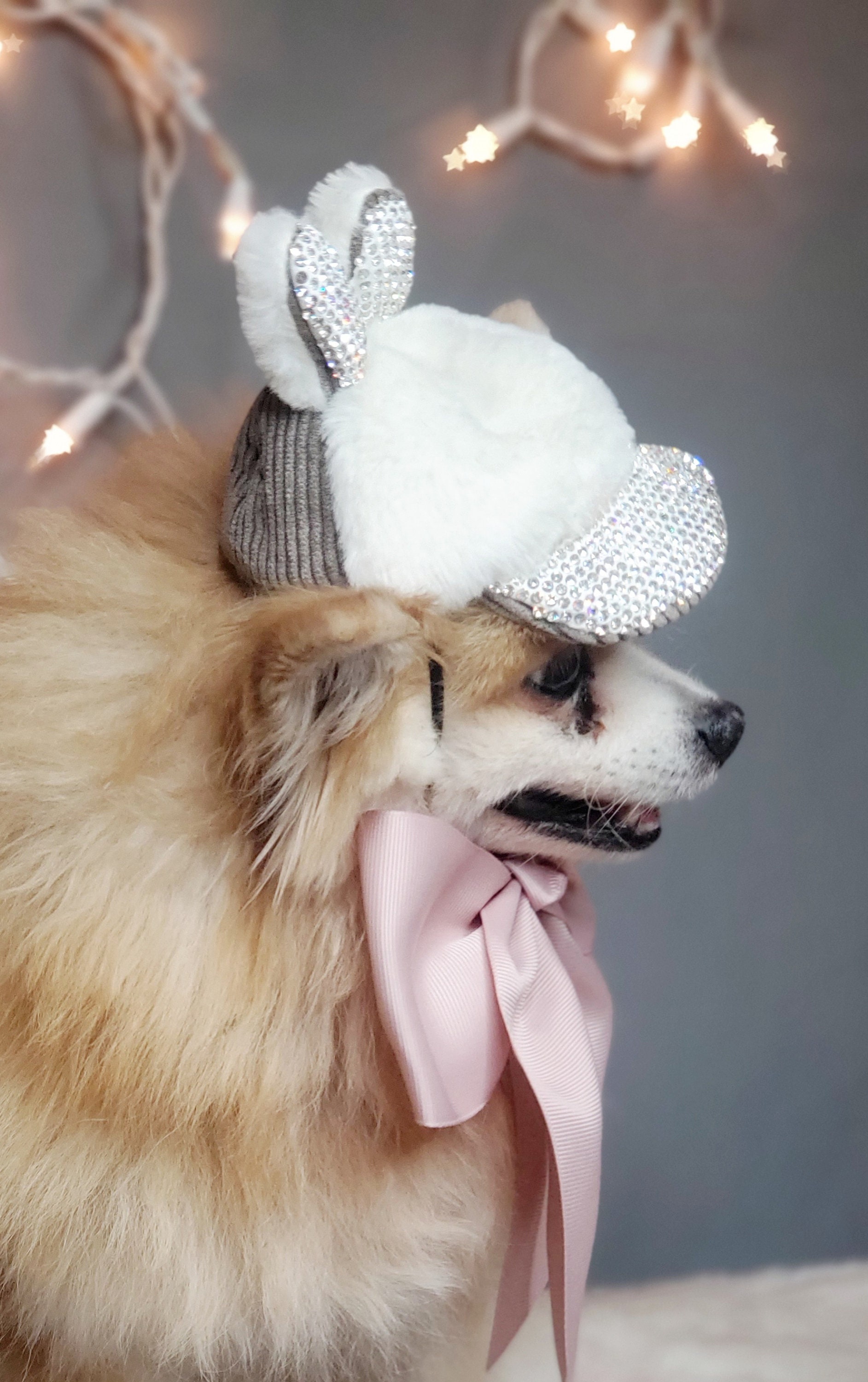 Weihnachts-Hüte & Fliegen Für Kleine Hunde & Katzen – 4-teiliges Set Silber/grün, Mit Glitzer-Pailletten
