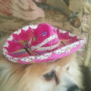 Cute sombrero hat for dog or cat image 6