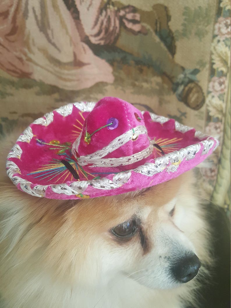 Cute sombrero hat for dog or cat image 6