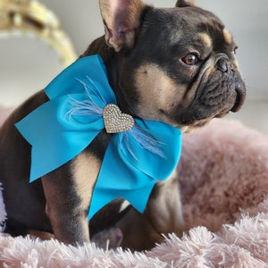 Bow tie  // Dog Valentine&#39;s Bow //  Dog Neck Tie || Pet Bow Tie || Dog Clothes