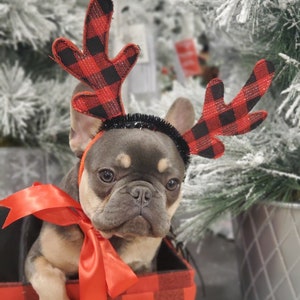 Reindeer ears headband/ Christmas  headband with red color tie for large dog  for /Christmas costume/Christmas hat/