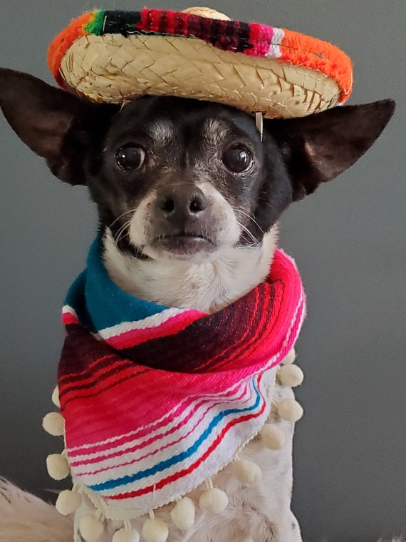 Sombrero For Dogs Pet Costume Sombrero For Dogs Pet Costume