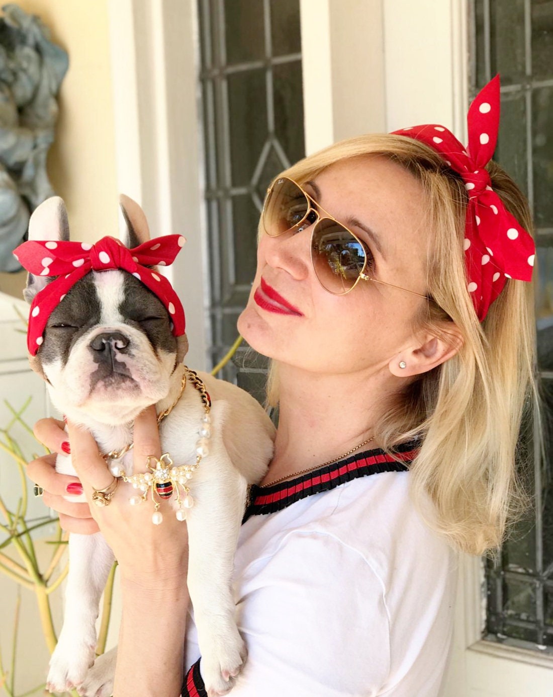Matching Set Headbands headband for Dog or Cat headband for Dogs