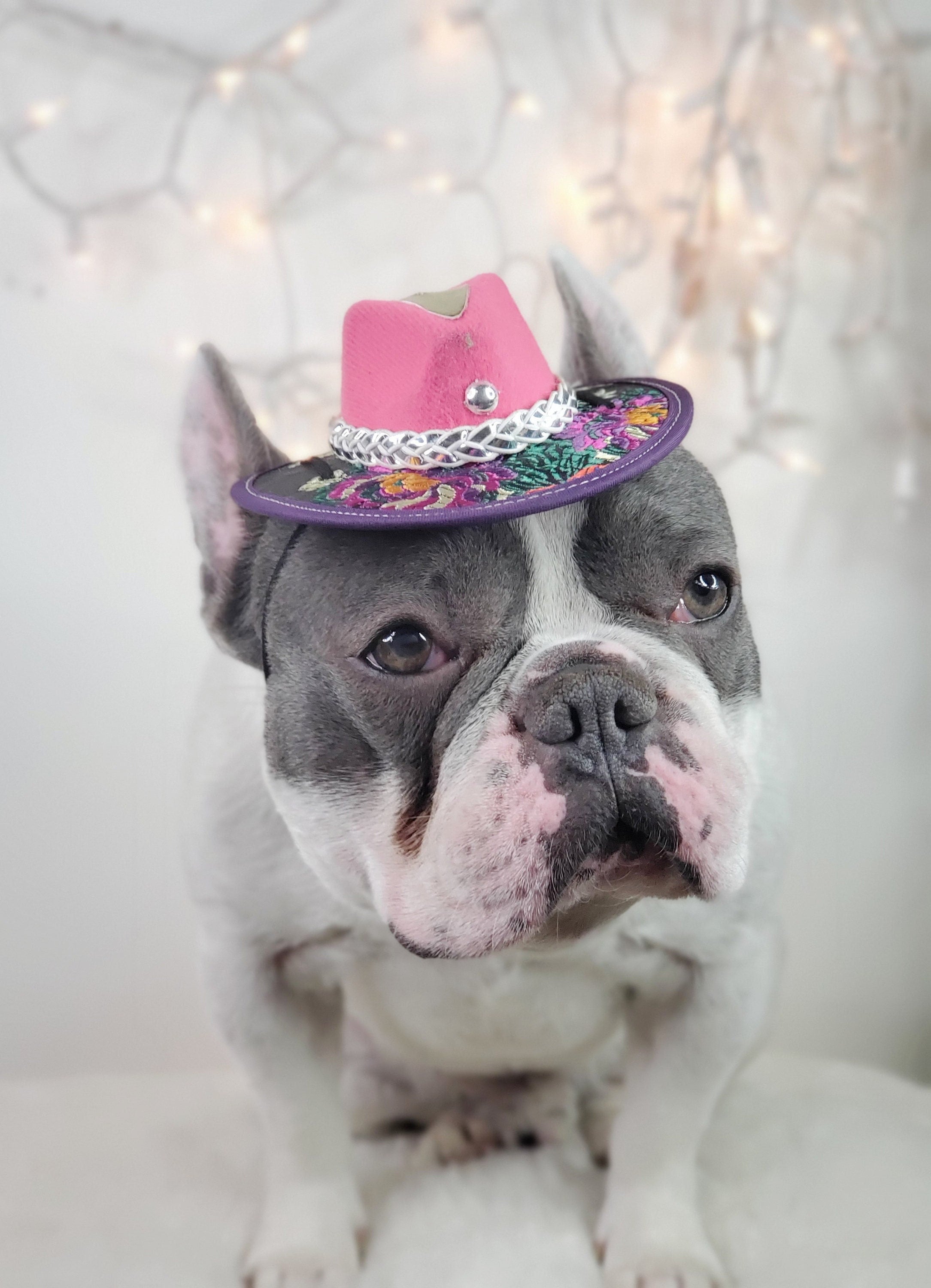 Cowboys Hat Hat for Pet Small Cowboys Hat for Dog Cowboys