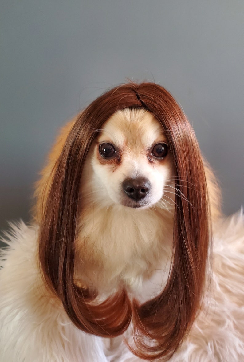 Süße Haustier Perücke für Hund oder Katze / Halloween Haustier Etsy