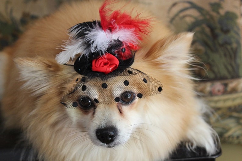 Cute black color mini hat with black red and white color feather and flowers / Small pet hat /Costume for dogs / image 4