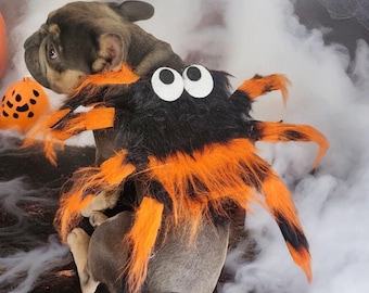 Hondenkostuum spinnen: Halloween-huisdieroutfit, verstelbare pasvorm