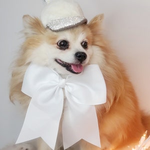 Casquette pour votre animal de compagnie / Chapeau mignon pour chien ou chat Petit animal image 4