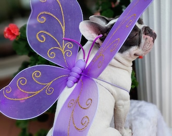 Butterfly wings for pet / Halloween costume/Dog costume/