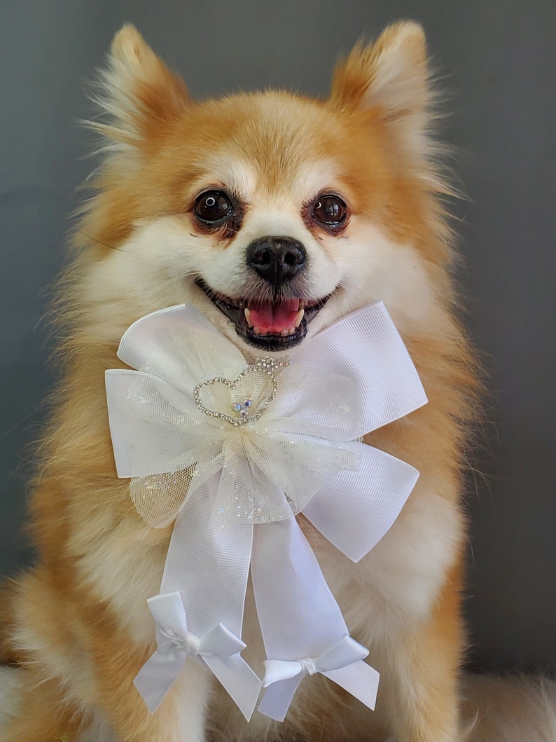 White color Bow tie // Dog Halloween Bow // Dog Neck Tie Pet Bow Tie Dog Clothes image 5