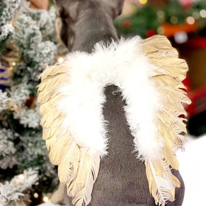 Halloween Angel vleugels voor honden witte kleur /dog kostuum veren vleugels voor grote honden / Halloween kostuum /