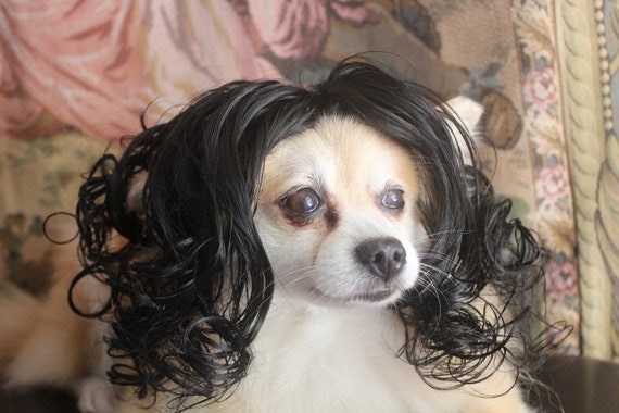 Dog with black wig hotsell