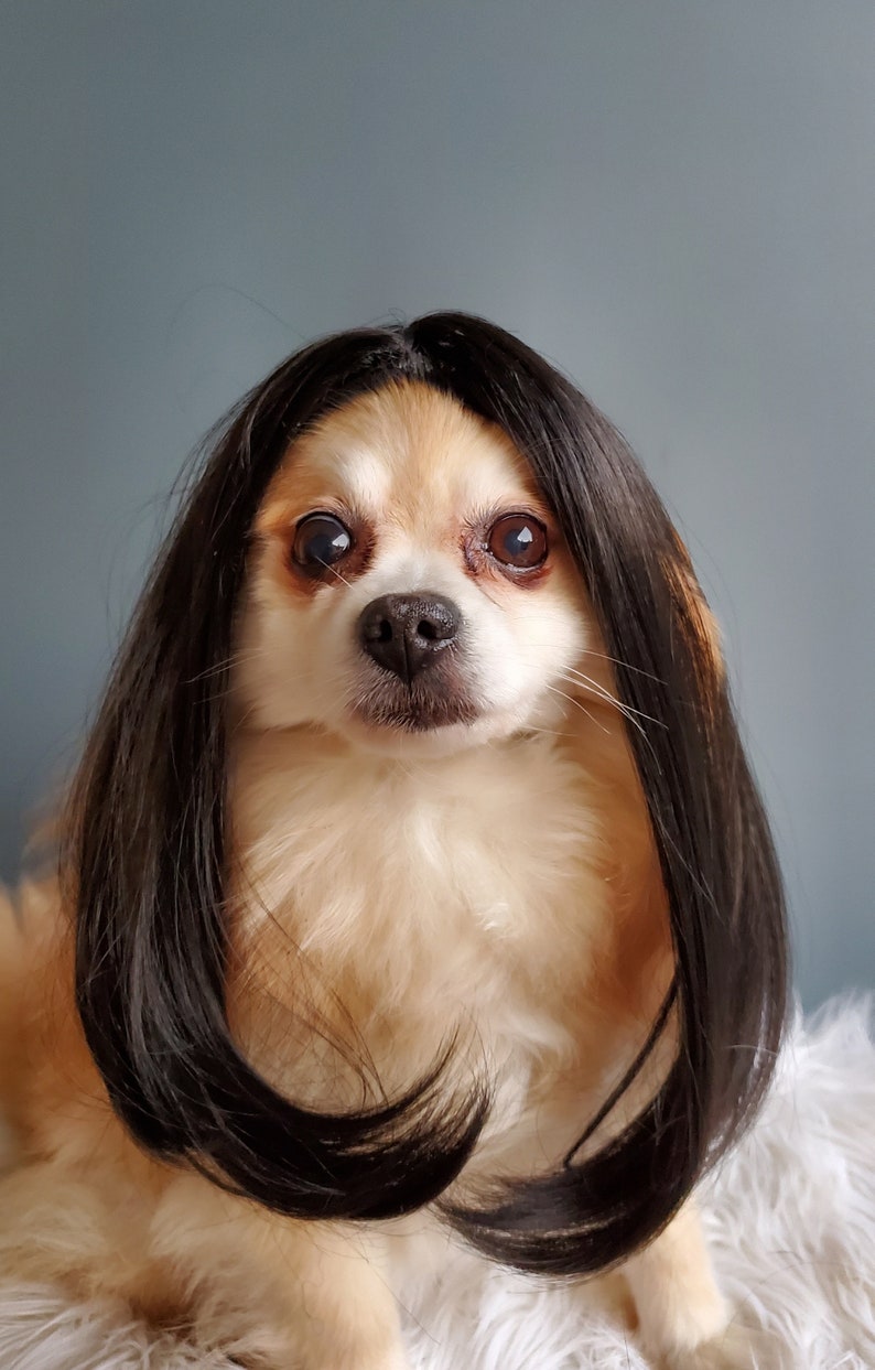 Cute pet wig black color dog or cat/Halloween dog wig/Costume dog wig /Dog costume / Cat costume / image 6