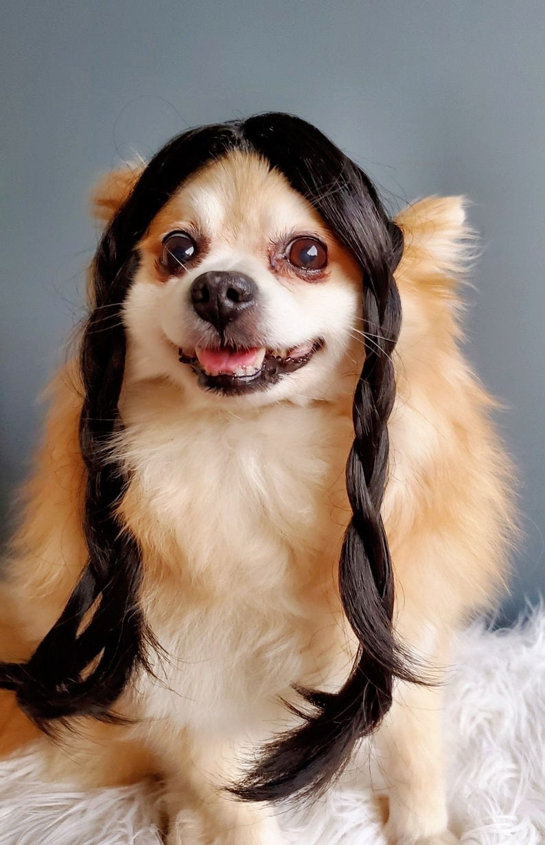 Wednesday wig for dog / Addams Family Cute pet braided wig black color for dog or cat/Halloween costume wig for dogs / image 2