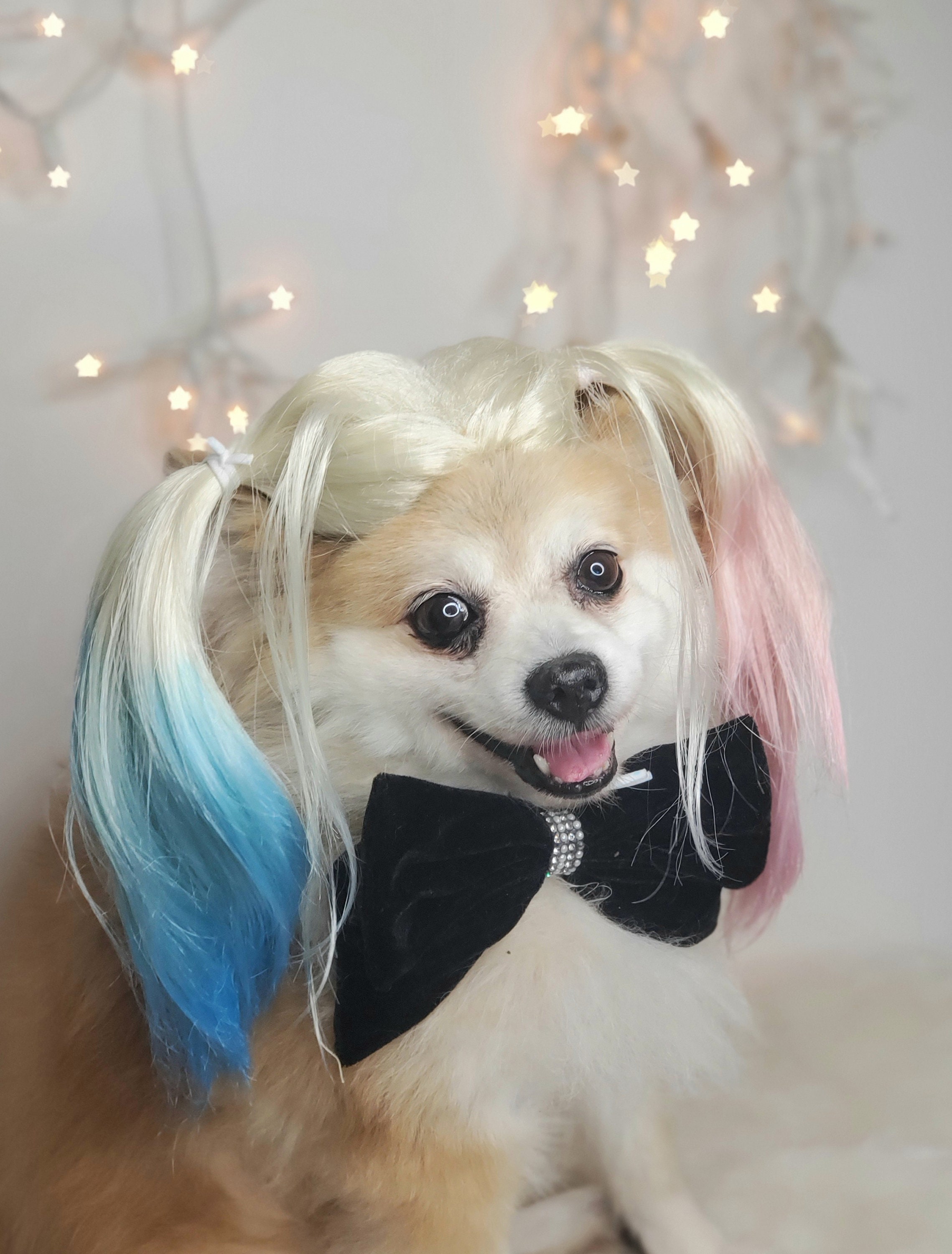 Dog Cosplay Human KOOLTAIL 4th Of July Dog Outfit Accessories