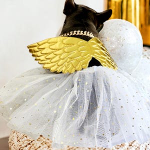 Vleugels voor kleine huisdieren/Halloweenvleugels voor honden/hondenkostuum / Halloweenkostuum/Goudkleurige vleugels /