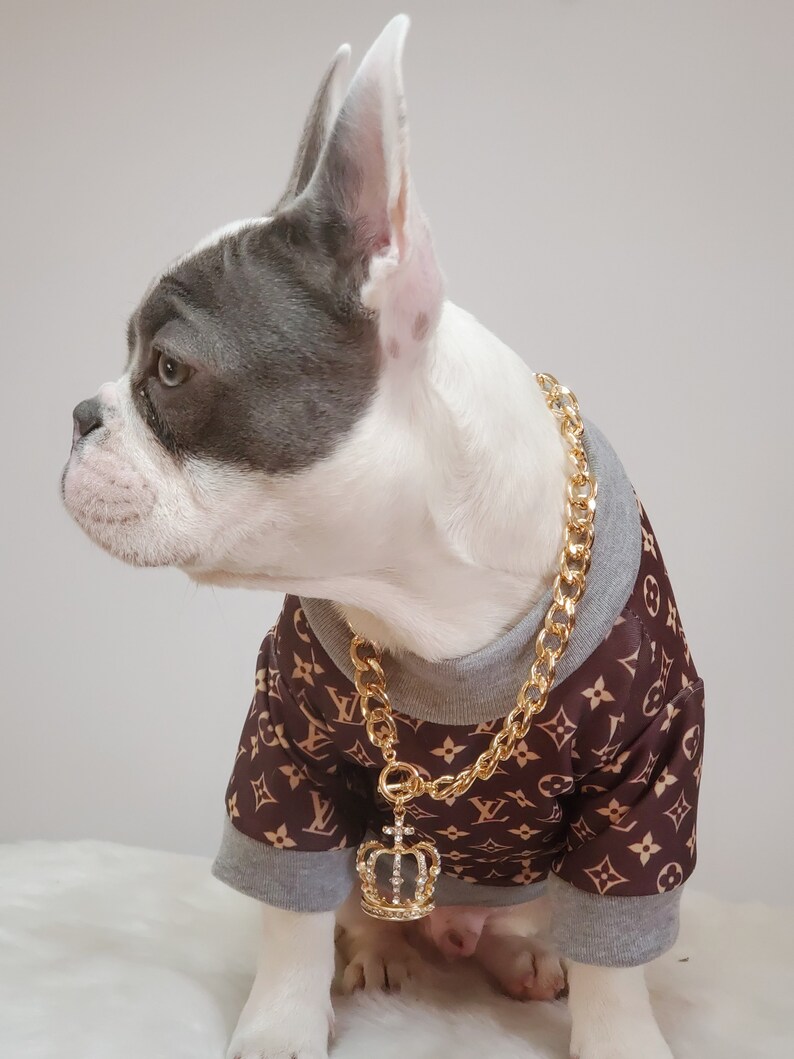 Supper Cute Dog Neck Chain Gold Color/ Jewelry for Pet Etsy