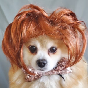 Cute pet wig for dog or cat /Halloween dog wig / Costume cat wig /Dog costume / Cat costume / image 1