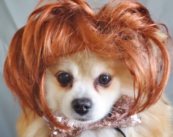 Cute pet   wig  for dog or cat /Halloween dog wig / Costume cat wig /Dog costume / Cat costume /