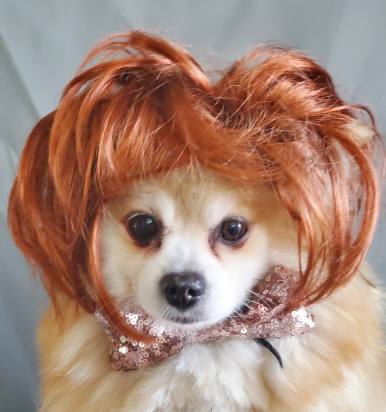 Cute pet wig for dog or cat /Halloween dog wig / Costume cat wig /Dog costume / Cat costume / image 1