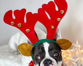 Reindeer ears  headband  for large dogs /Christmas hat/