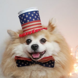 4  July Hat for pets/American  flag hat for pet/  USA Patriotic Day Top Hat