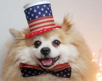 4  July Hat for pets/American  flag hat for pet/  USA Patriotic Day Top Hat