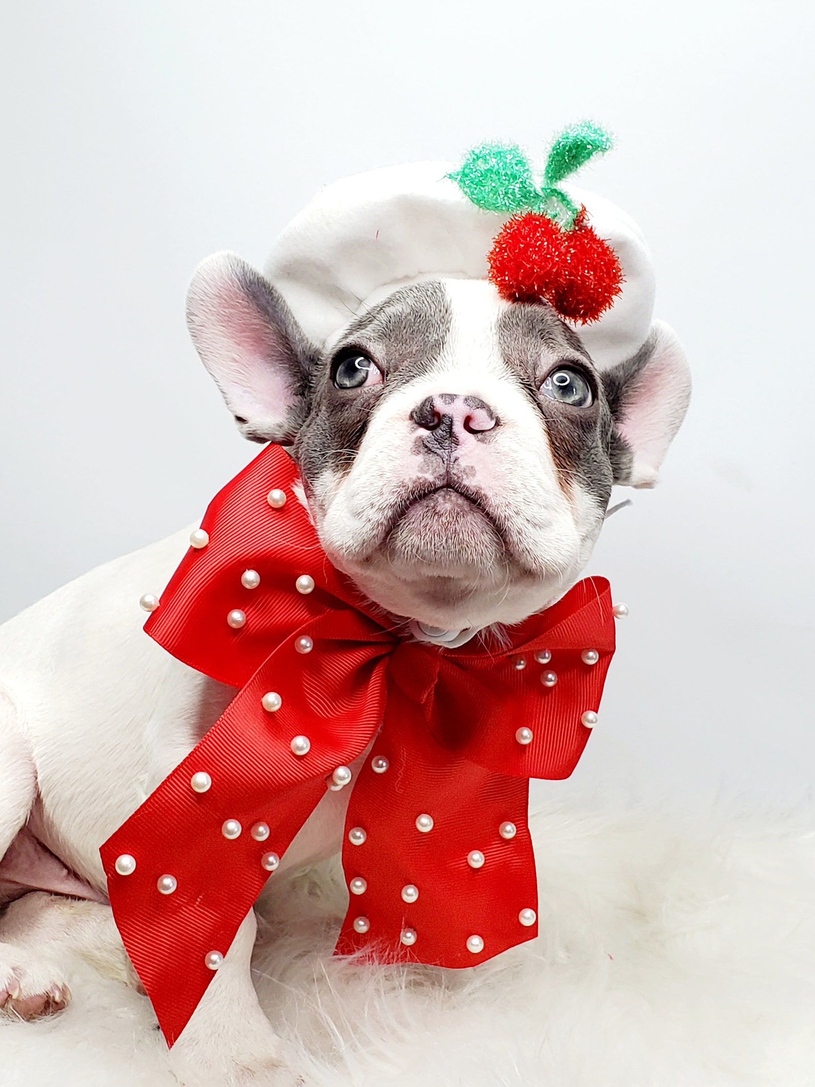 White Color Beret Hat for Dog or Cat Small Animal Doll /beret Etsy