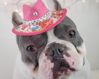 Cowboys hat  / Hat for pet  / Small cowboys hat for dog / Cowboys dog costume /