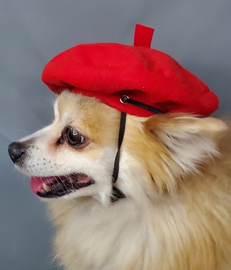 Beret Hat Red Color for Dog or Cat /hat for Dogs/beret for Etsy