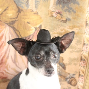 Cowboy hat for dog or cat black color /Small animals hat/Halloween dog hat /Cowboy dogs hat/ image 6