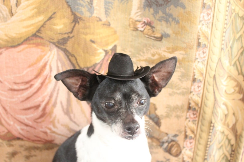 Cowboy hat for dog or cat black color /Small animals hat/Halloween dog hat /Cowboy dogs hat/ image 6