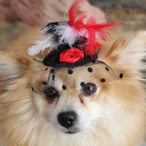 Cute black color mini hat with black red and white color feather and flowers / Small pet hat /Costume for dogs / image 2