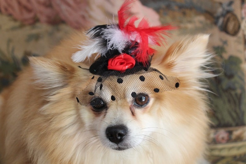 Cute black color mini hat with black red and white color feather and flowers / Small pet hat /Costume for dogs / image 2