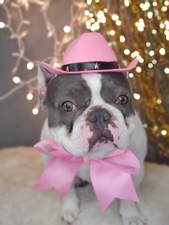 Cowboys Hat for Large Dog dog Costume frenchies Cowboy Hat Etsy