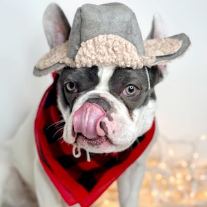 Winter hat for  large dog/Frenchies hat/Christmas dog hat/