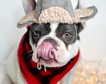 Winter hat for  large dog/Frenchies hat/Christmas dog hat/