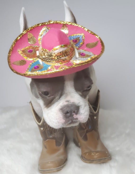 Cute Sombrero Hat for Dog or Cat 