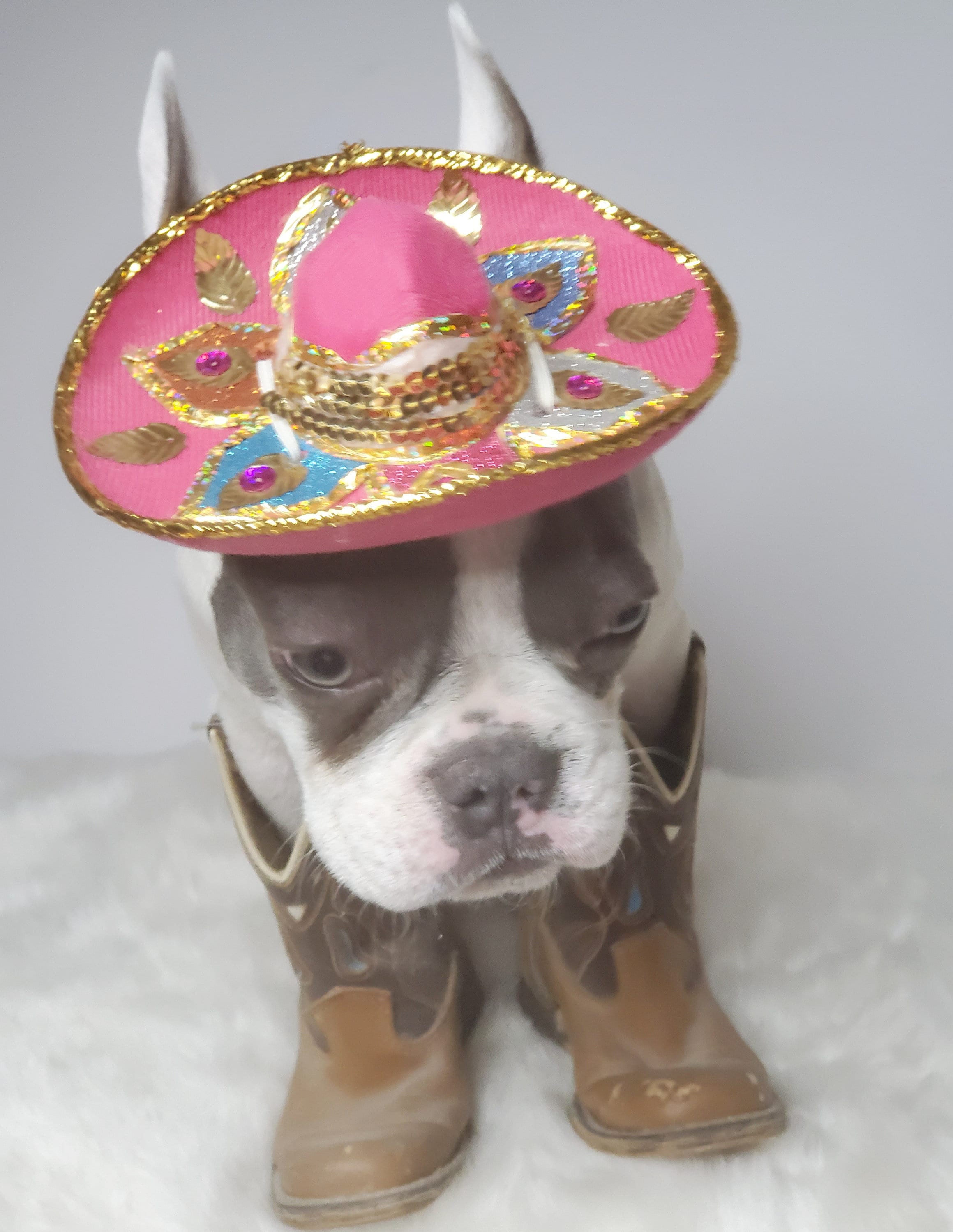 Pink Cowboy Hat Tiara Western Sheriff Fancy Dress Halloween Pet Dog Cat Costume